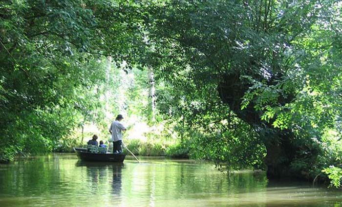 Barque avec touristes dans le marais poitevin.