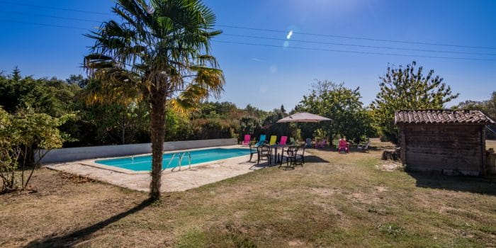 La piscine et son palmier.