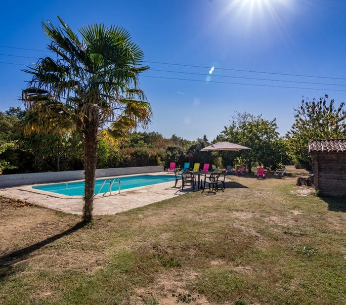 La piscine et son palmier.